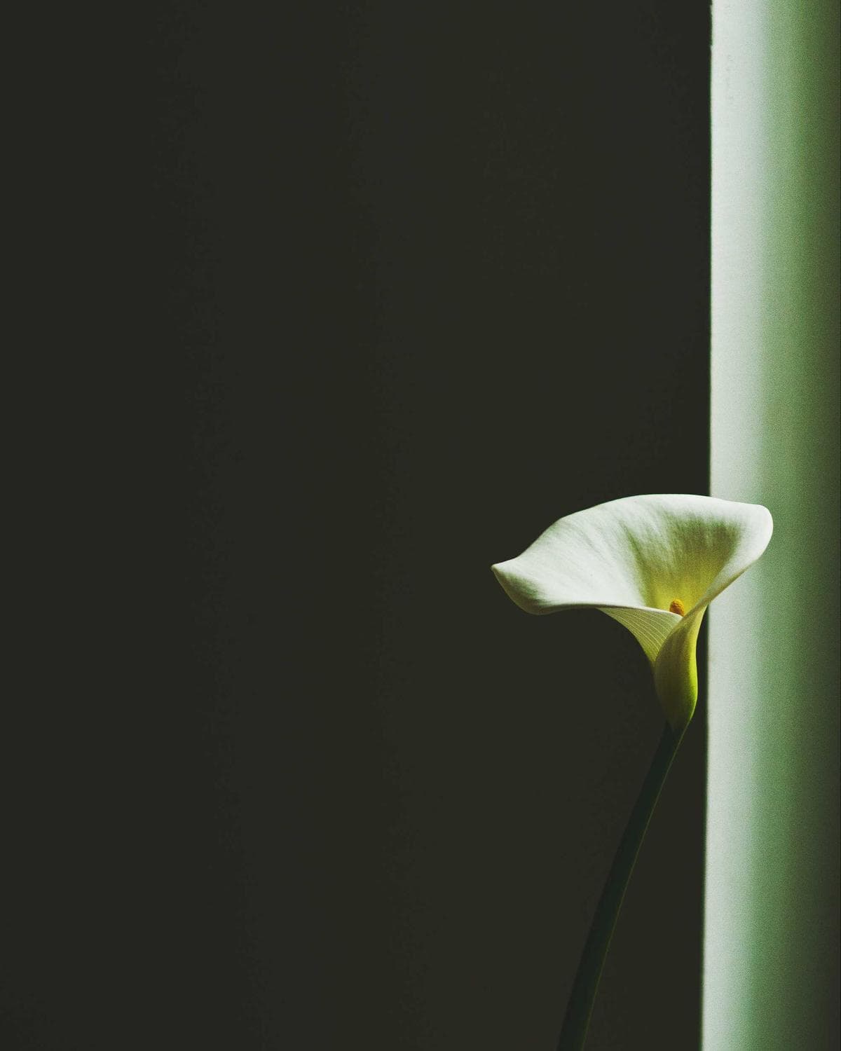 Handcrafted plate texture