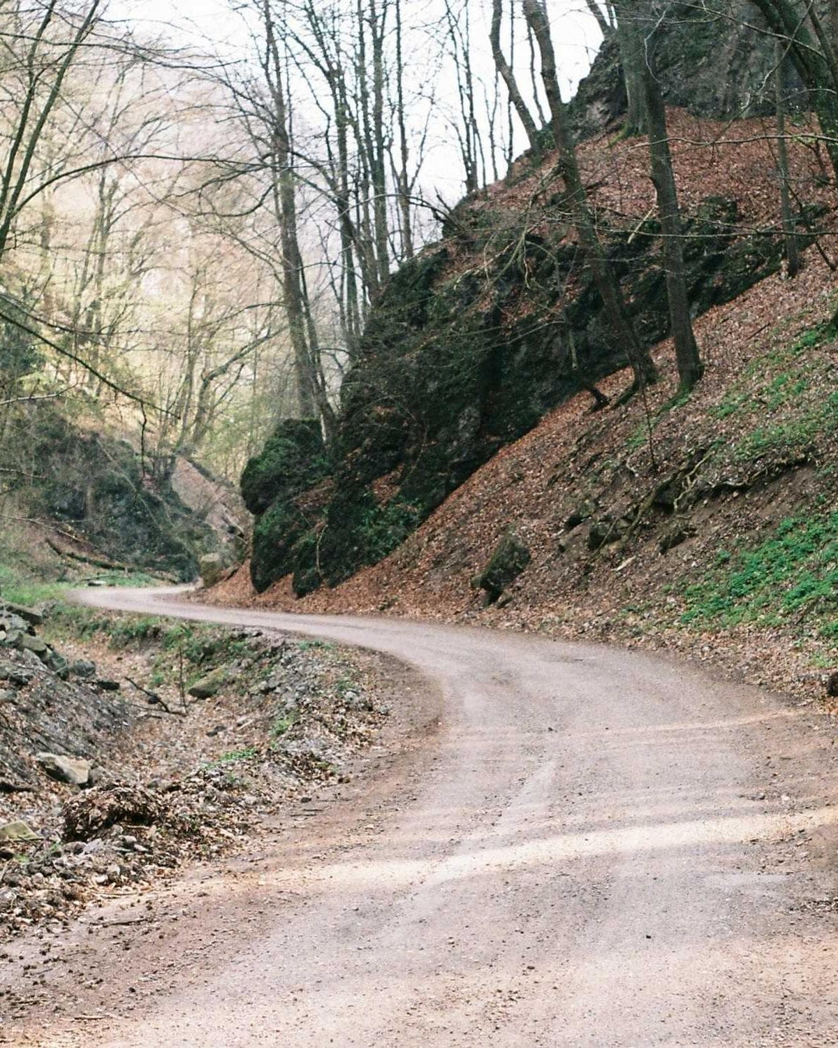 Warm-toned pottery arrangement