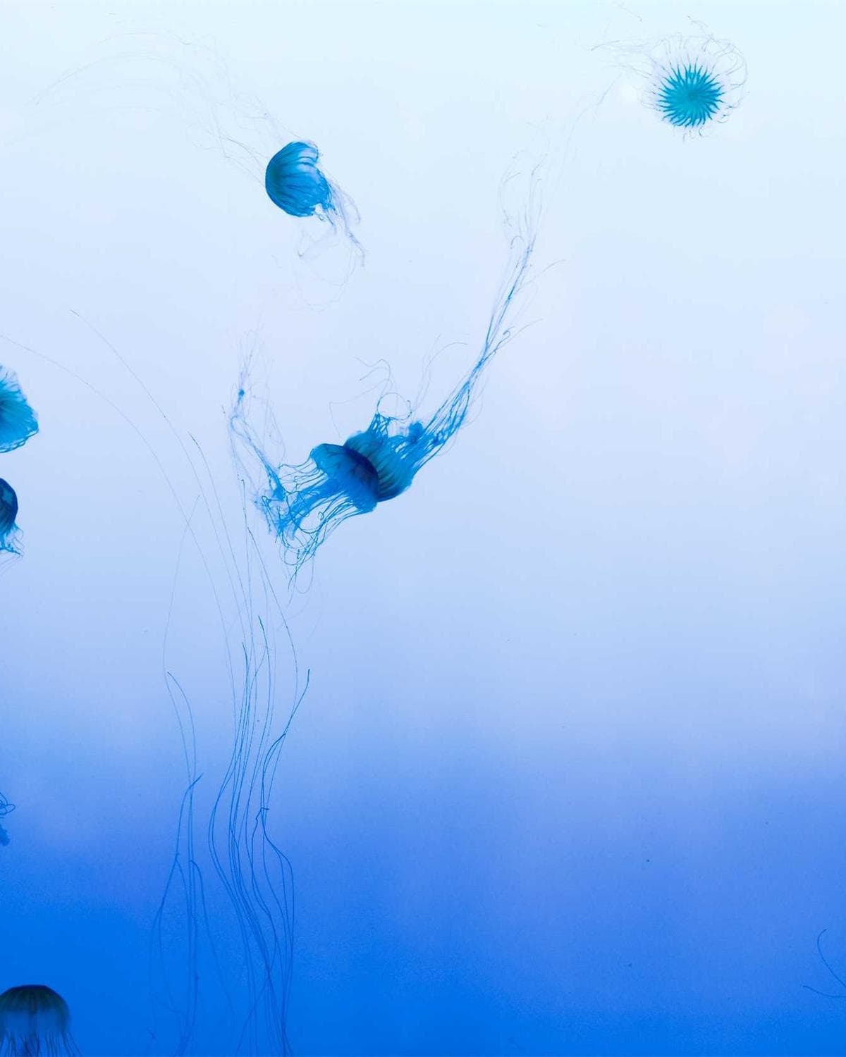 Artisanal ceramic platter